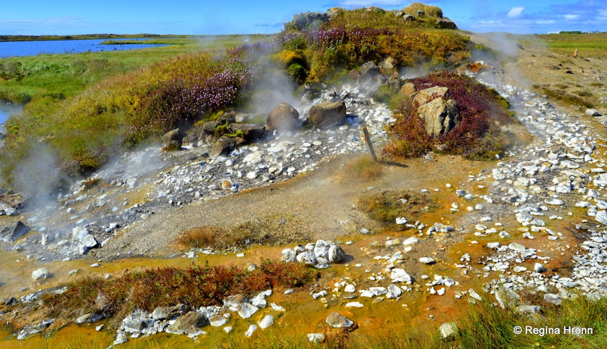 Eynireykir hot spring at Reykhólar Westfjords