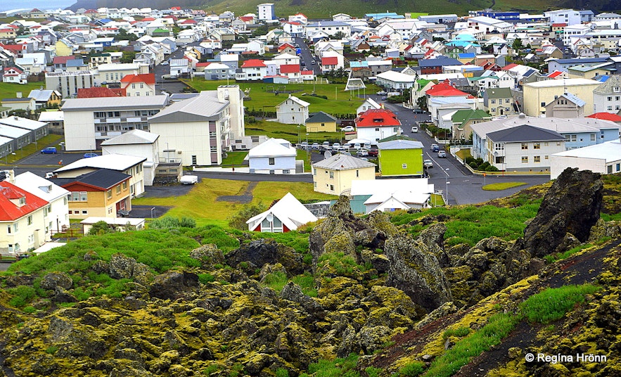 Westman Islands South-Iceland