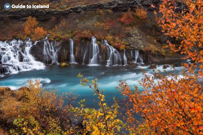 De Hraunfossar-watervallen in het westen van IJsland stromen in een blauwe smeltwaterrivier.