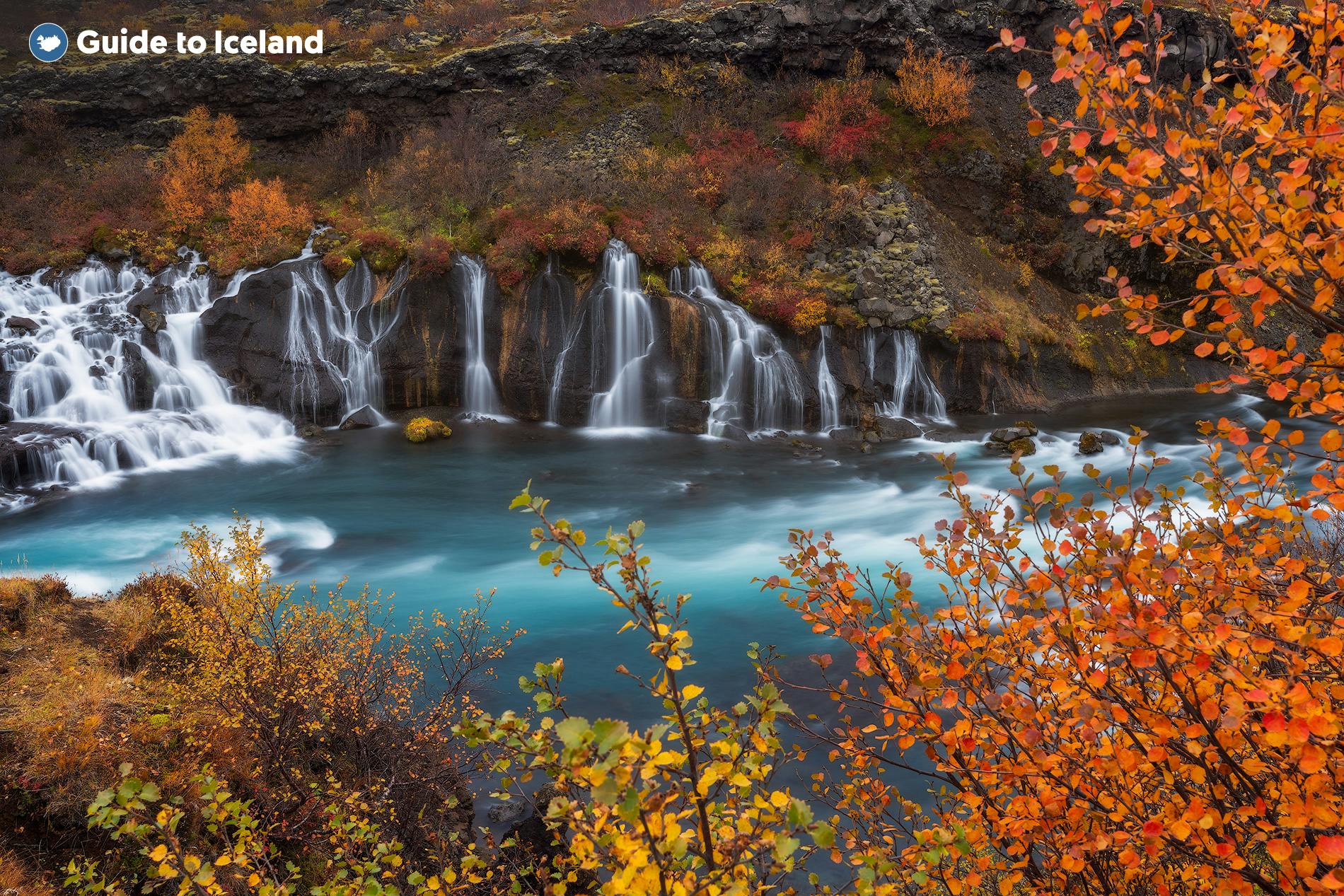 Hraunfossar Waterfalls in the West of Iceland, trickling into a blue glacial river.