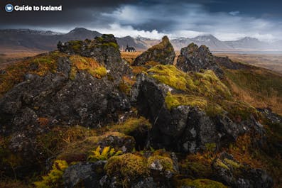 Een lavasteenformatie, bedekt met IJslands mos, op het schiereiland Snaefellsnes.
