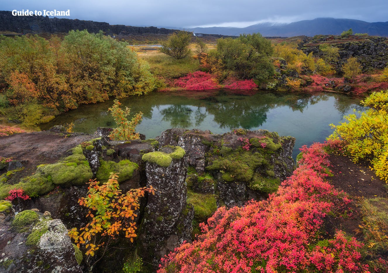 I mille colori del Parco Nazionale di Thingvellir, parte del famoso percorso turistico del Circolo d'Oro.
