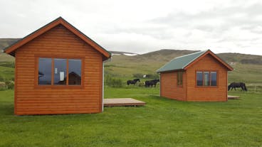 The Hvammstangi Cottages have Icelandic horses around them.