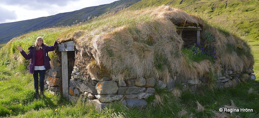 Turf houses of Hjarðarhagi farm