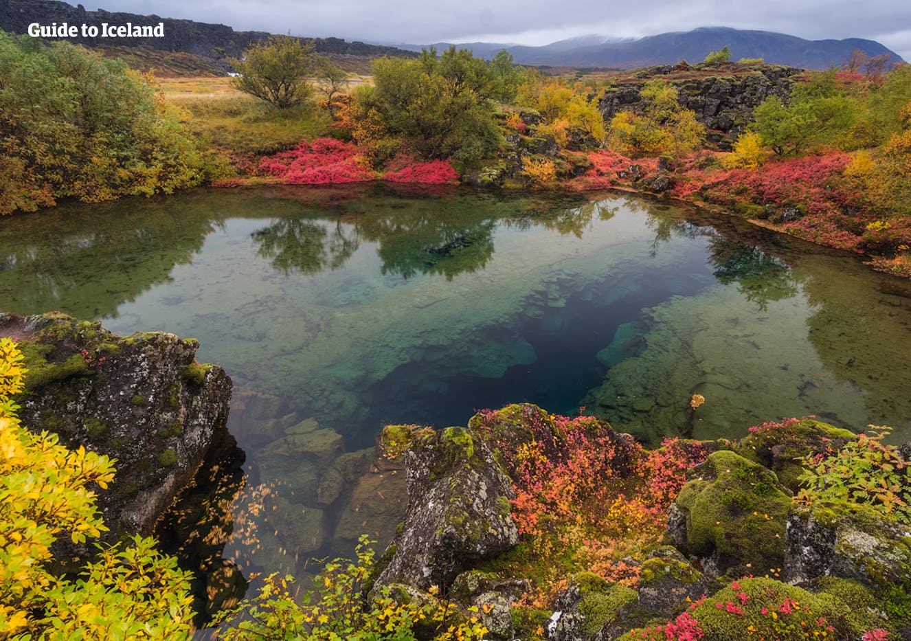 The clear waters of the Silfra Fissure in Thingvellir National Park on the Golden Circle Tourist Route of Iceland.