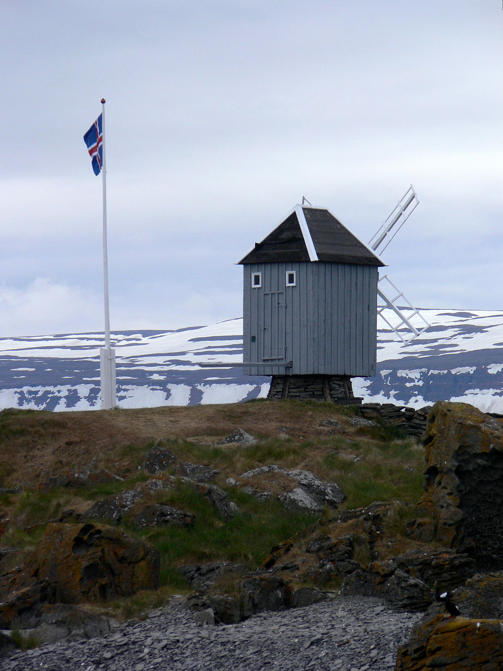 维格尔岛是冰岛西峡湾地区的一座小岛，以活跃的鸟类活动而闻名
