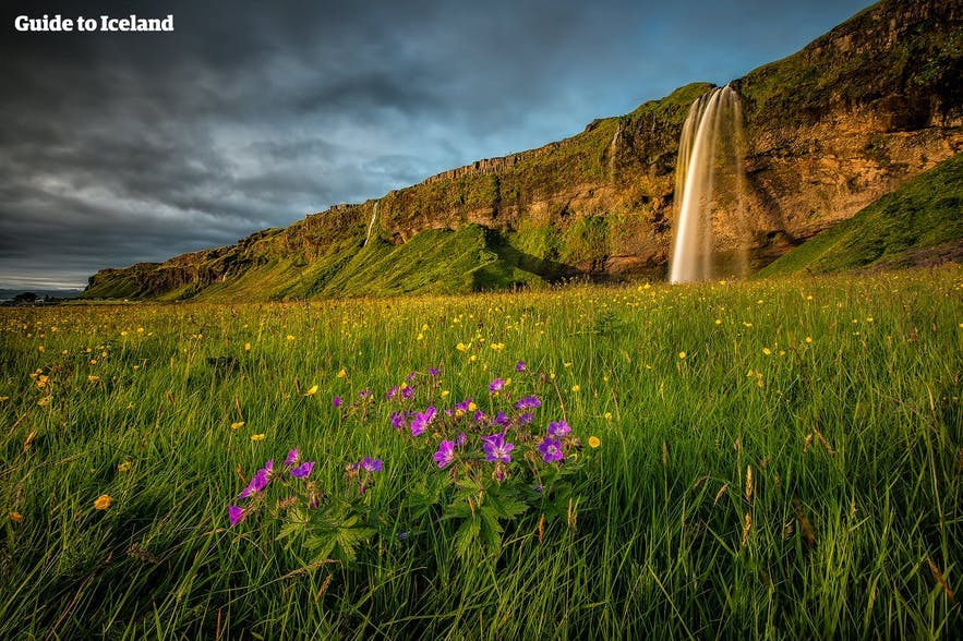 アイスランド南海岸の崖を流れ落ちるセリャラントスフォスの滝