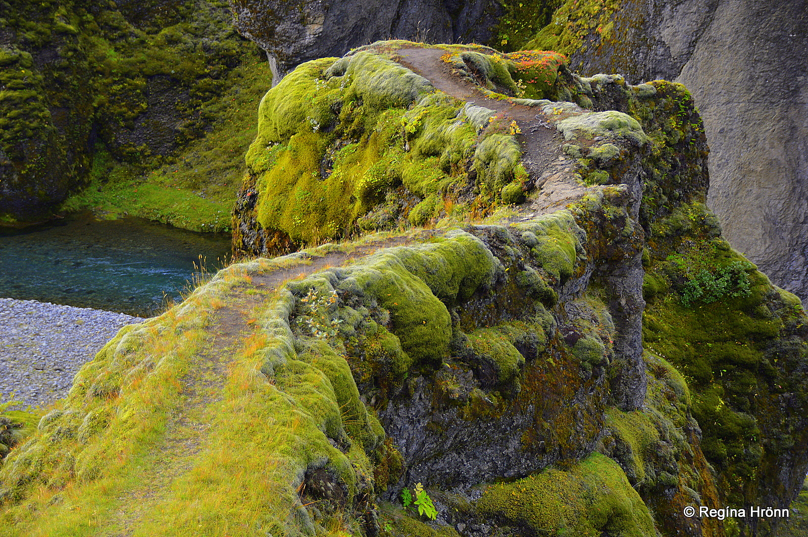 The Picturesque Fja r rglj fur Canyon in South Iceland Guide to