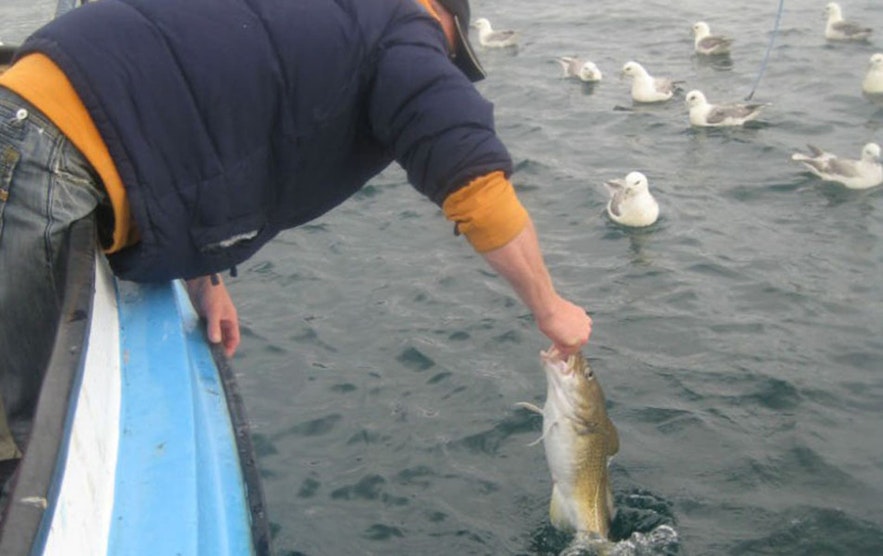 การตกปลาเป็นงานอดิเรกที่ขึ้นชื่อในไอซ์แลนด์