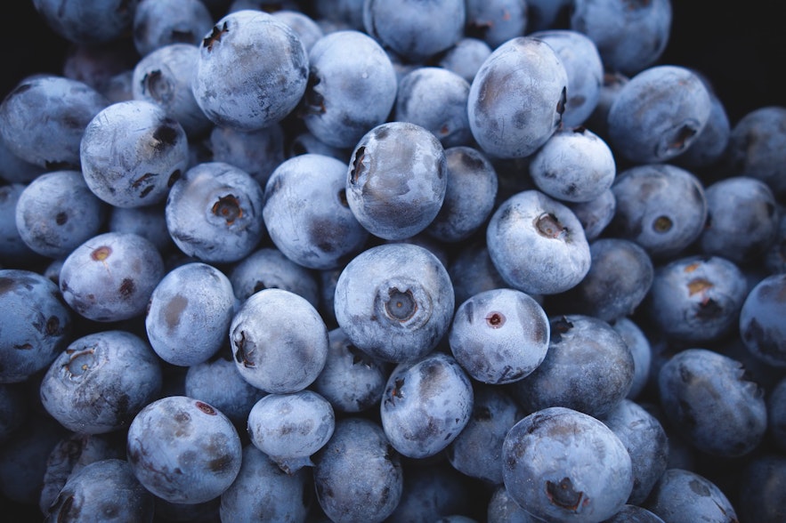 Blueberry picking is popular activity in August.