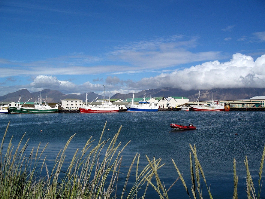 Der Hafen von Höfn í Hornafirði.