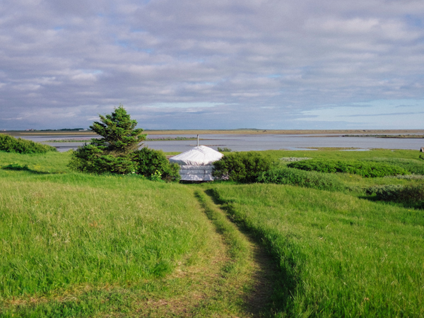 A path leads to a yurt at Traustholtshólmi.