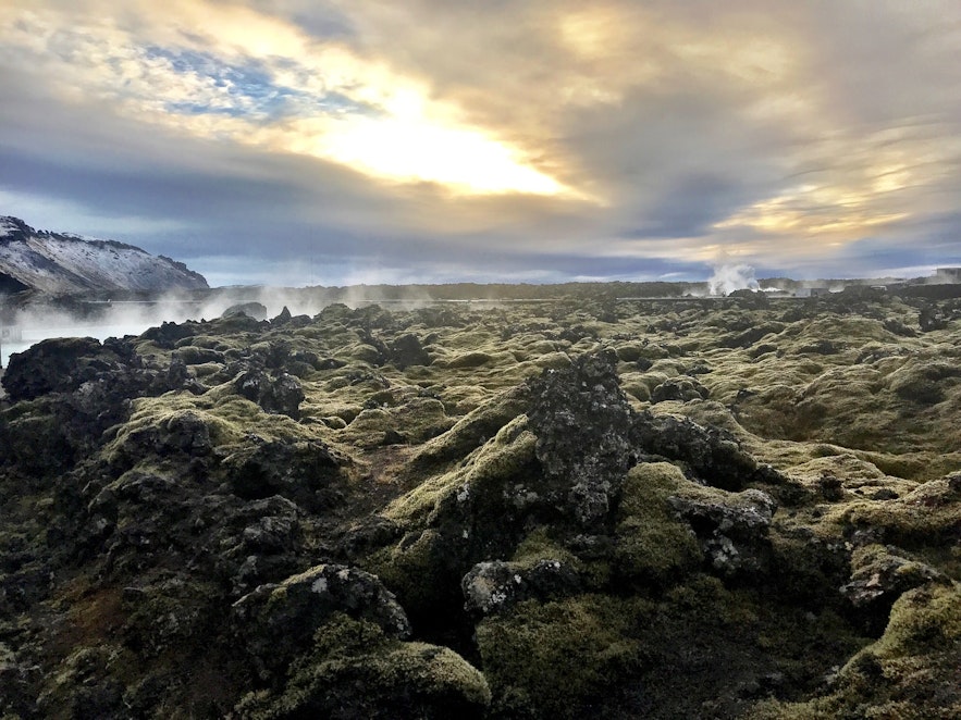 Islands Blå Lagune: Den ultimative rejseguide