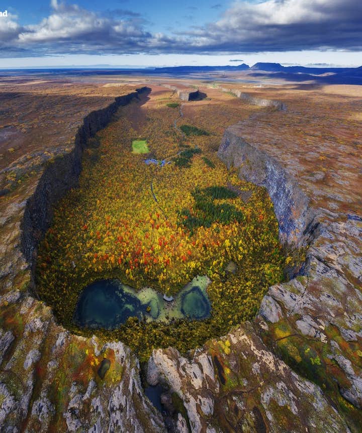 The forest within Asbyrgi is an example of Iceland's woodlands.