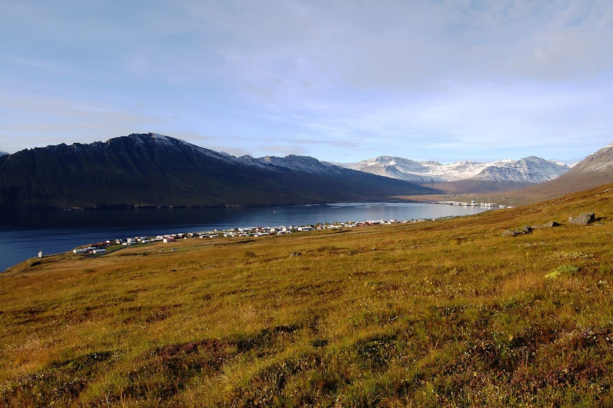 Wiele miejsc na islandzkich Fiordach Wschodnich jest rzadko odwiedzanych przez podróżników.