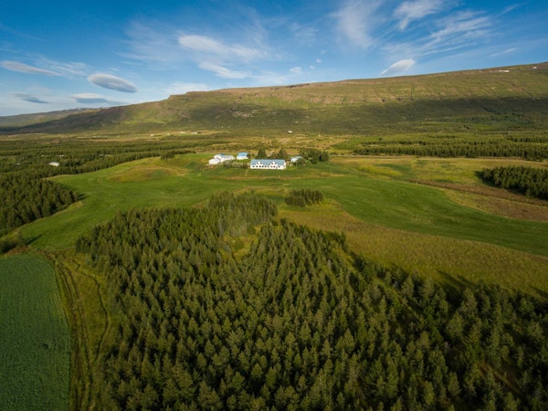 Eyjólfsstaðir Guesthouse
