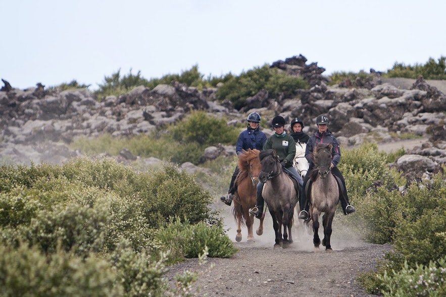 Horseback riding is popular in Heidmork.