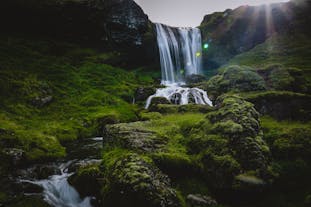 A waterfall in Iceland surrounded by mossy rocks.
