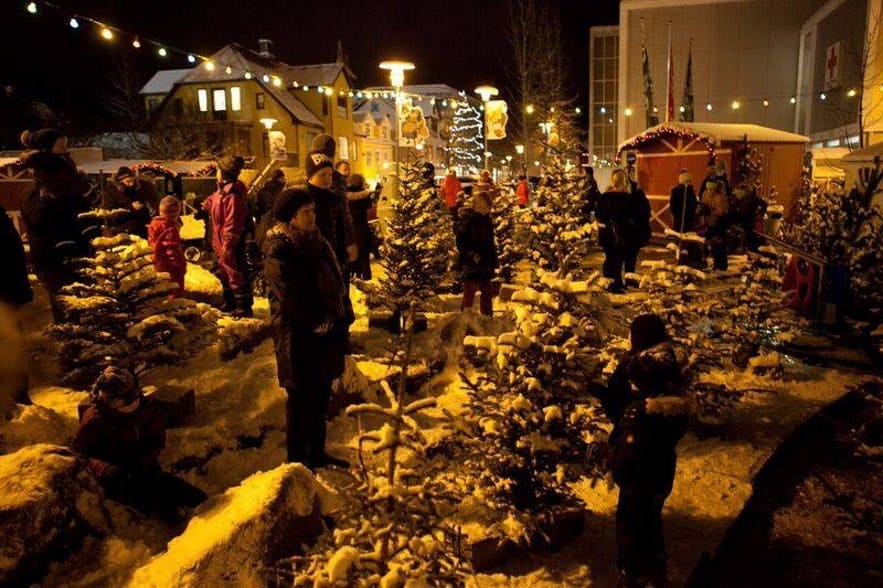 Venta de árboles de Navidad en Reikiavik.