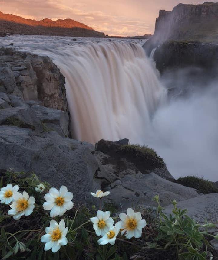 The most powerful falls in Iceland is Dettifoss. 
