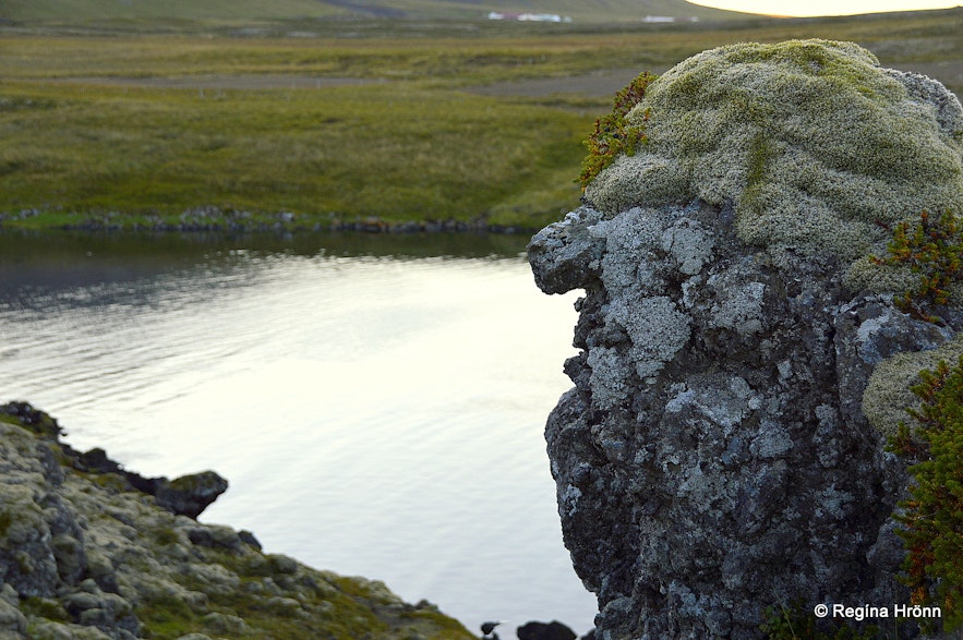 Lava troll in Berserkjahraun lava field Snæfellsnes