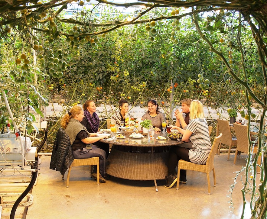 A group enjoying their meal at the Fridheimar Tomato Farm. 