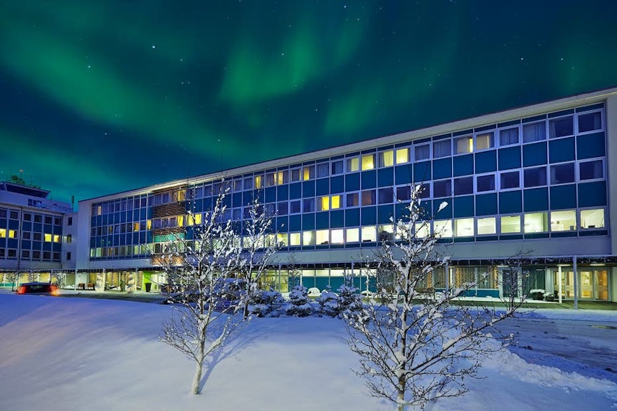 雷克雅未克纳图拉冰岛航空酒店（Icelandair Hotel Natura）夜间可观赏极光