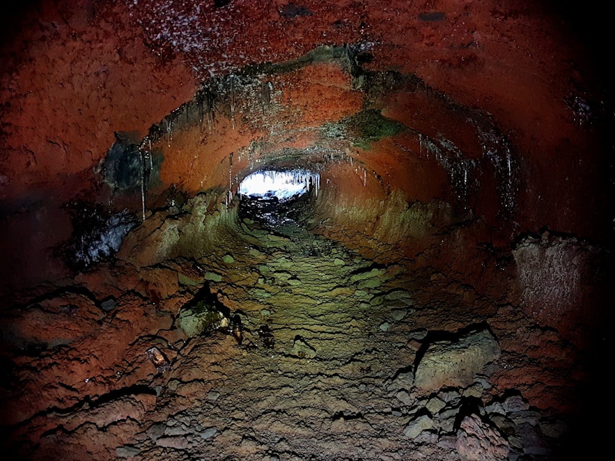 Lava caving is a great way to learn about the geological history of the Blue Mountains.