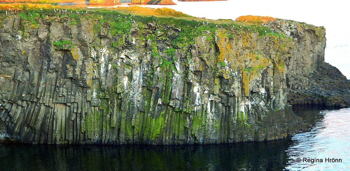 Visiting Grímsey Island - The Gem Of The Arctic Circle In North-iceland 