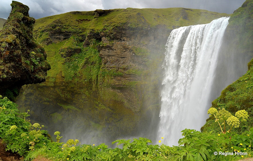 Skógafoss waterfall in South-Iceland