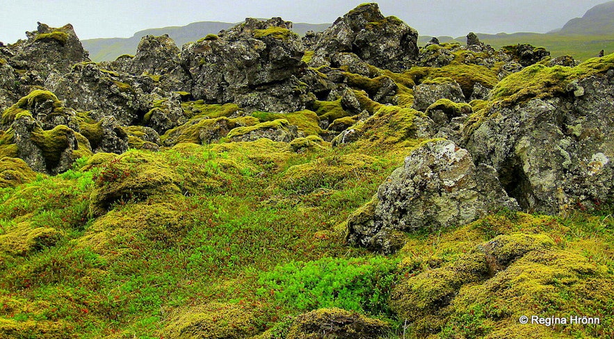 Lava field by Rauðamelsölkelda