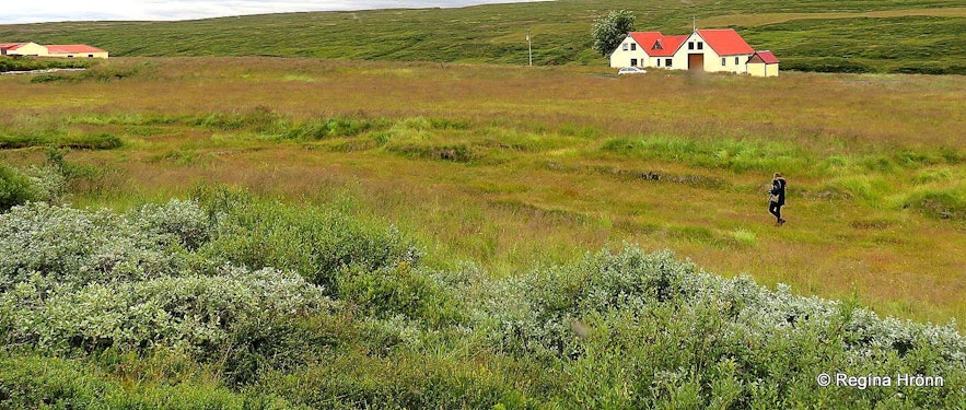 Regína at Hofstaðir in Mývatn N-Iceland