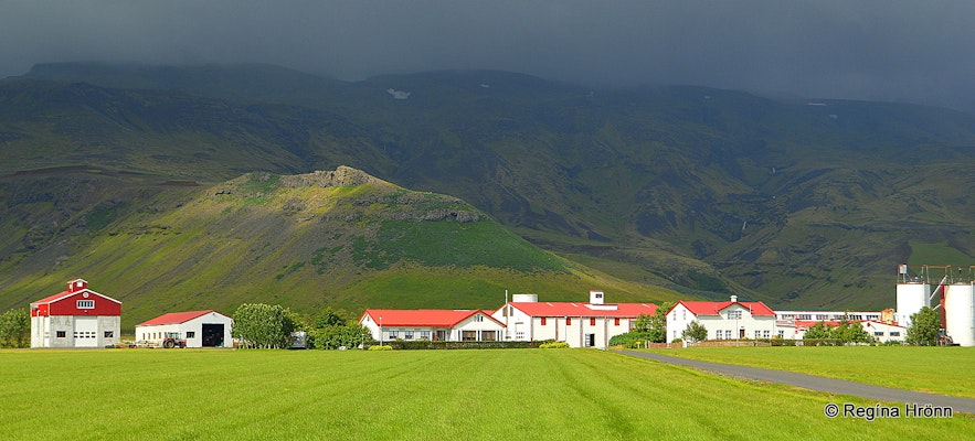Þorvaldseyri farm South-Iceland