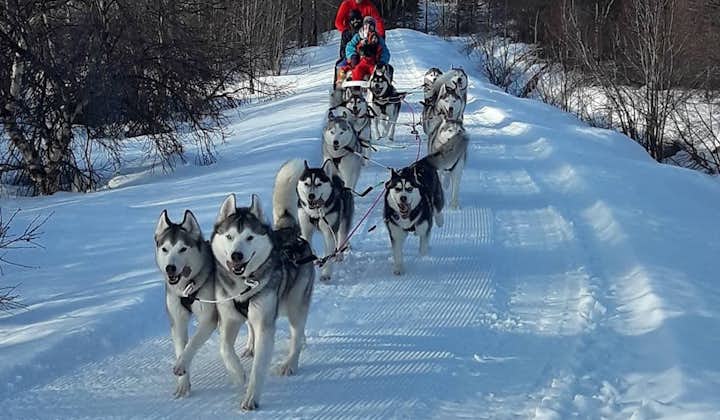 Private 1.5 Hour Dog Sledding Experience in Akureyri with Photo Opportunities