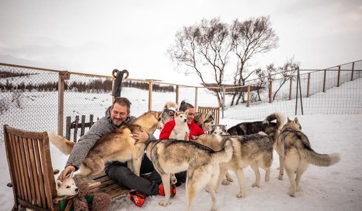 Huskies with their owners in North Iceland during winter.