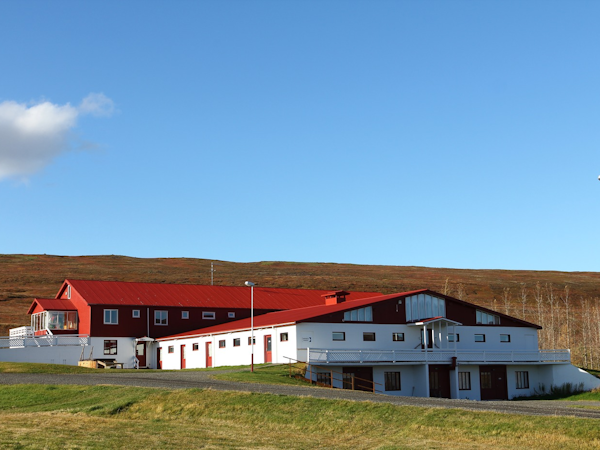 Guesthouse Narfastadir is located on a farm.
