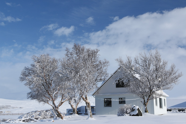 Steindorsstadir Guesthouse on a snowy day.