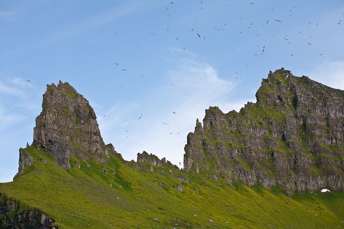 The Hornbjarg cliffs are beautiful.