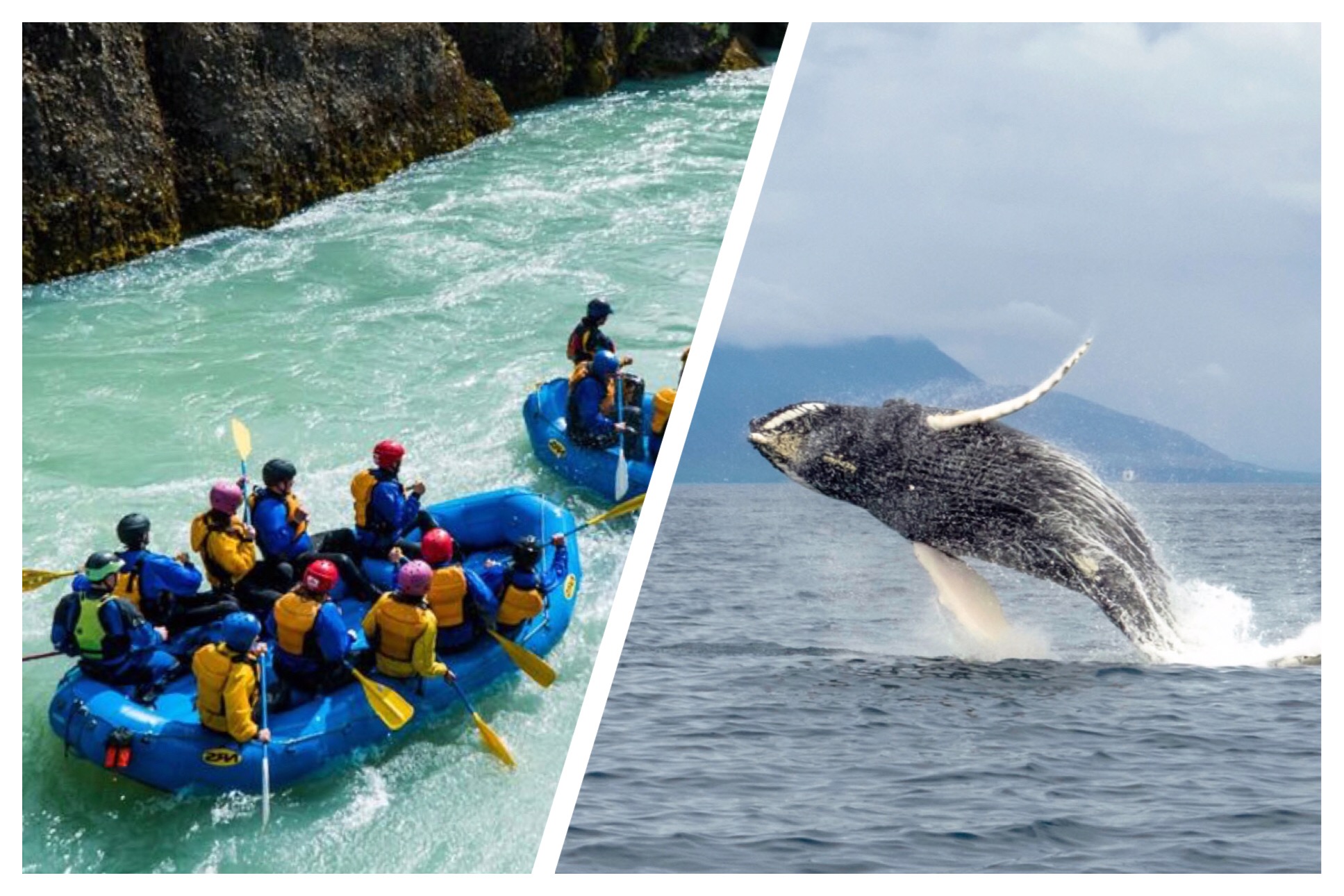 Dual image of people rafting on the Hvita river on the left and a humpback whale throwing itself up out of the water on the right.