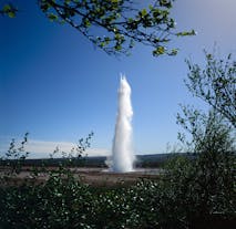 The Great Geysir shoots water up into the sky on a sunny day.