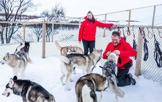 are there huskies in iceland