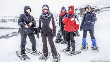 Exciting 8 Hour Snowshoe Tour of Lake Myvatn from Akureyri