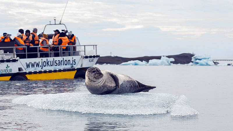 Stunning 2 Day Tour To Jokulsarlon With Waterfalls, Glacier Hiking & A ...