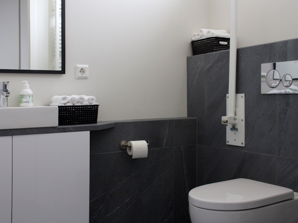 An accessible bathroom at Graystone Guesthouse with toilet and grab rail.