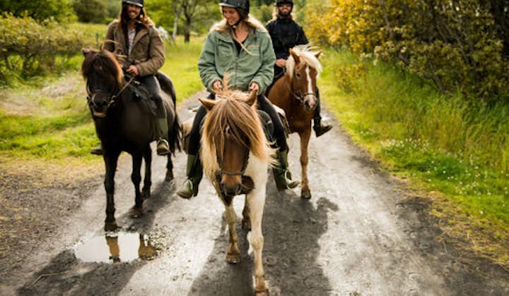 People enjoying their horse riding tour in Olfus.