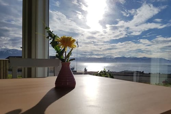 A close-up view of a flower in a vase on a dining room table dining room at Grenivik Guesthouse with sea views from the window o