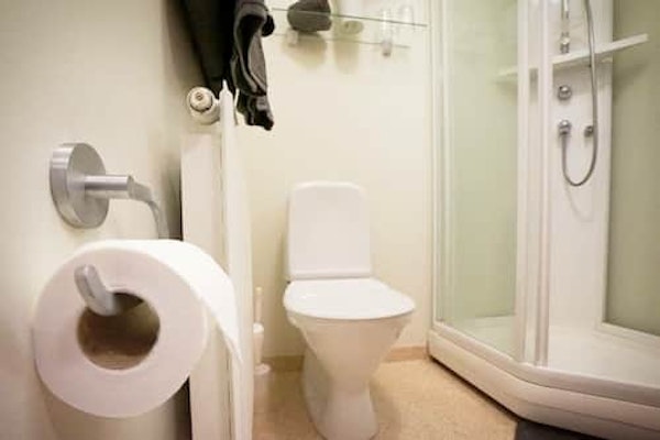 A private bathroom at Grenivik Guesthouse with a shower, toilet, heater, and toilet paper.