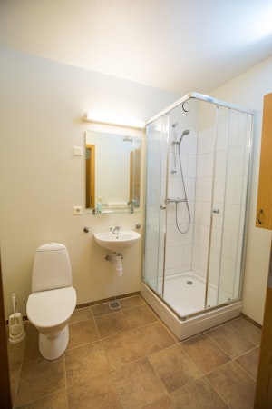 A bathroom with a shower, basin, cupboards, mirror, and toilet at Hotel Laugar Reykjadalur.
