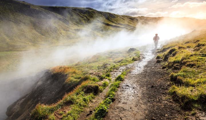 Steaming hot waters of Reykjadalur valley.