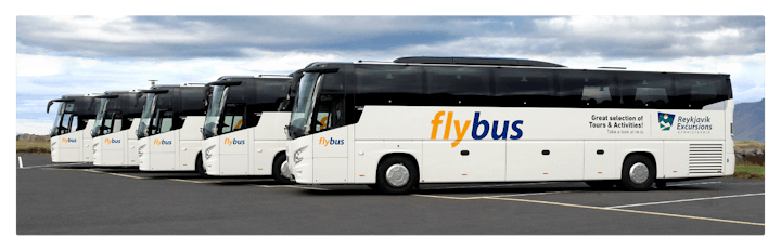 The coach can take you from Keflavik International Airport to Reykjavik's bus terminal, or to your hotel.